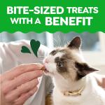 Indoor Tuna Treats for Cats