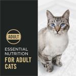 Purina Pro Plan High Protein Cat Food With Probiotics for Cats, Chicken and Rice Formula - 16 lb. Bag