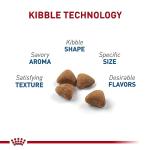 Royal Canin Feline Health Nutrition Indoor Adult Dry Cat Food, 15 lb Bag