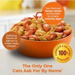 Meow Mix Tender Centers Salmon & White Meat Chicken Flavors Cat Food, 3 Pound (Pack of 4), Crunchy Outside Meaty Inside
