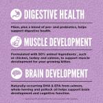 ORIJEN Grain Free High Protein Premium Dry Cat Food Kitten Recipe 7lb Bag