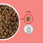 ACANA Highest Protein Dry Cat Food Indoor Cat Food Recipe 10lb Bag