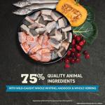 ACANA Grain-free Dry Cat Food, Wild Atlantic, Saltwater Fish with Freeze-Dried Liver, 10lb Bag