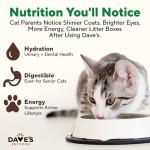 Dave's Pet Food Grain Free Wet Canned Cat Food (Turkey), Made in USA Naturally Healthy, Added Vitamins & Minerals, Gluten-Free, 12.5 oz Cans (12 Pack)