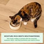 Open Farm Rustic Blend Wet Cat Food, Complete & Balanced Medley with Human-Grade Ingredients, Humanely-Raised Meat, Non-GMO Veggies & Bone Broth, Harvest Chicken Recipe, 5.5oz Packs (Case of 12)