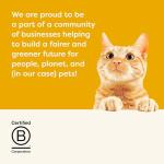 Applaws Natural Wet Cat Food, 24 Count, Limited Ingredient Canned Wet Cat Food, Chicken Breast in Broth, 5.5oz Cans