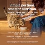 Feline Natural New Zealand Canned Catfood Wet Food, High-Meat, Low-Carb, & Grain Free Cat Food Wet, Chicken and Lamb Feast, 6 oz, Pack of 12