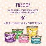 Weruva Cats in The Kitchen, Chicken Frick 'A Zee with Chicken Au Jus Cat Food, 3.2oz Can (Pack of 24)