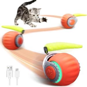 PawsomeFinds Interactive Cat Interactive Cat Toy