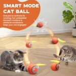 PawsomeFinds Interactive Cat Interactive Cat Toy