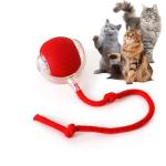 Rocfish Durable Interactive Interactive Cat Toy