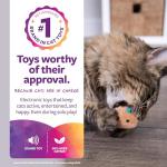 SmartyKat Chickadee Chirp Interactive Cat Toy