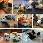 Pawaboo Interactive Cat Interactive Cat Toy