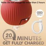 Rocfish Durable Interactive Interactive Cat Toy