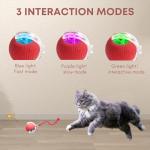 Rocfish Durable Interactive Interactive Cat Toy