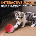 Rocfish Durable Interactive Interactive Cat Toy