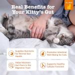 Zesty Paws Cat Chicken Cat Treats