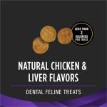 Purina Chicken Cat Treats