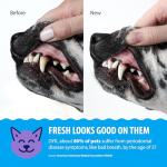 Dental Fresh Plaque & Tartar Control Water Additive For Dogs &