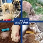 Easygroomer Deshedding Brush For Dogs & Cats Undercoat Grooming