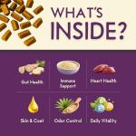 Feline Biome Premium Cat Probiotic Gut Health Diarrhea Relief &