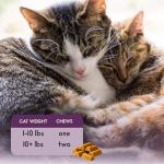 Feline Biome Premium Cat Probiotic Gut Health Diarrhea Relief &