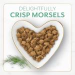 Ocean-fish & salmon Fancy Feast for cats - 7lbs