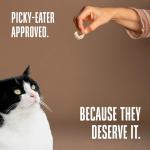 Whole Life Just One Shrimp Freeze-Dried Cat Treats