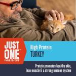 Whole Life Just One Turkey Freeze-Dried Cat Treats