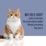 Whole Life Just One Turkey Freeze-Dried Cat Treats