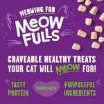 Stella & Chewy's Meowfulls Turkey & Duck Freeze-Dried Cat Treats