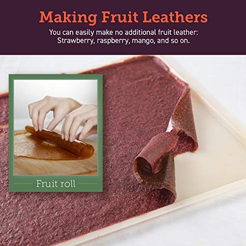 COSORI Dehydrator Fruit Roll Sheets - 2Pack