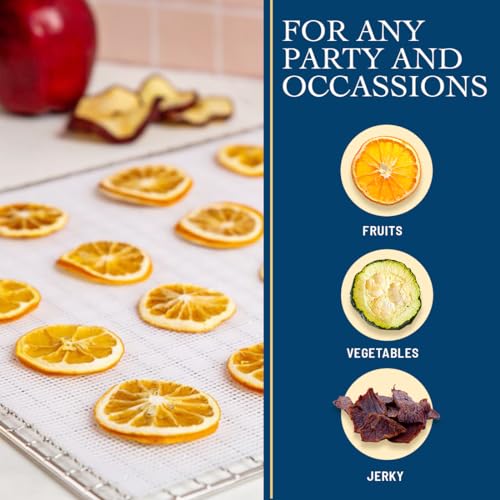 12 Pack Silicone Dehydrator Sheets - Compatible with Cosori, Excalibur, Magic Mill