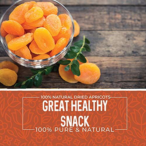 Unsweetened Dried Apricots - 1 Pound Bag