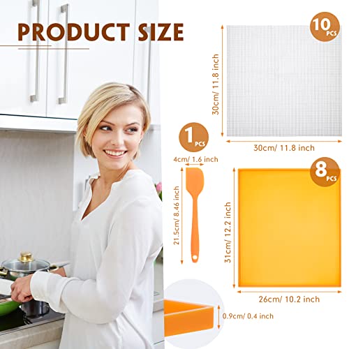 8 Pcs Silicone Dehydrator Sheets with Edge and 10 Pcs Mesh Dehydrator Mats: Non-Stick Dehydrator Accessories