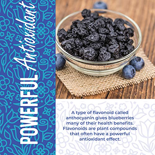 Unsweetened Dried Blueberries, 16 oz