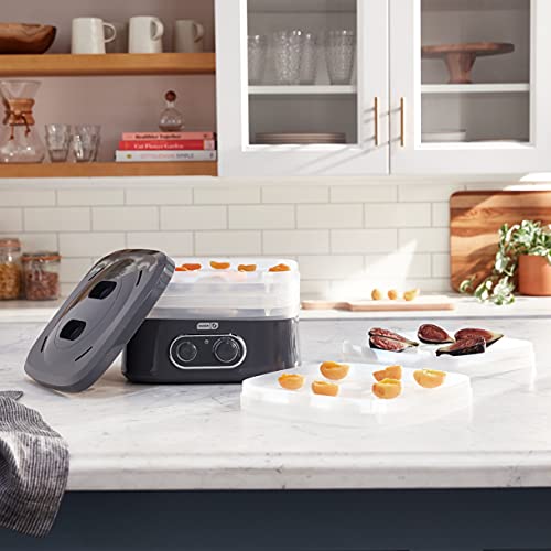 DASH SmartStore Compact Dehydrator - Gray