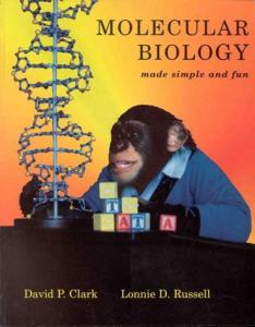 Molecular Biology Simplified by David P. Clark