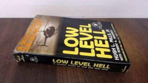 Scout Pilot Adventures in Low Level Hell