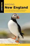 Birding New England: Field Guide to Northeast Birds