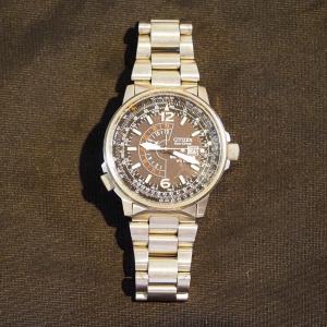 Citizen Eco-Drive Nighthawk Pilot Watch WR200