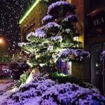 XingLi 360 Snow Machine with Flight Case & Remote