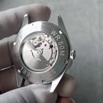 Boyarca Men's Aviator Watch with Luminous Design