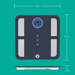 Weight Watchers Glass Digital Body Scale by Conair