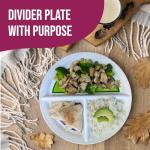 Health Beet 10” Diabetic Portion Control Plate