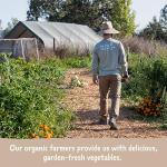 Amy's Gluten-Free Cheese Enchilada Frozen Meal