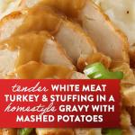 Stouffer's Roast Turkey Frozen Meal, 9.59 Ounce