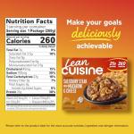 Lean Cuisine Salisbury Steak with Macaroni Meal