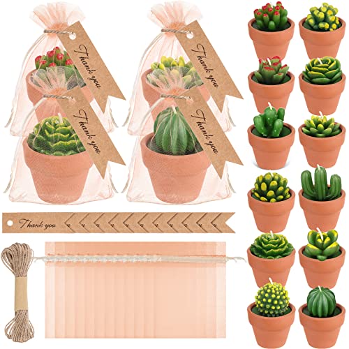 Mini Succulent Tealight Candle Party Favors Set