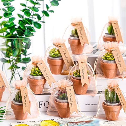 Mini Succulent Tealight Candle Party Favors Set